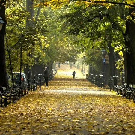 Daire Romantic Free Parking *